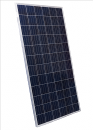 575511819_w800_h640_suntech_stp320_24_vem